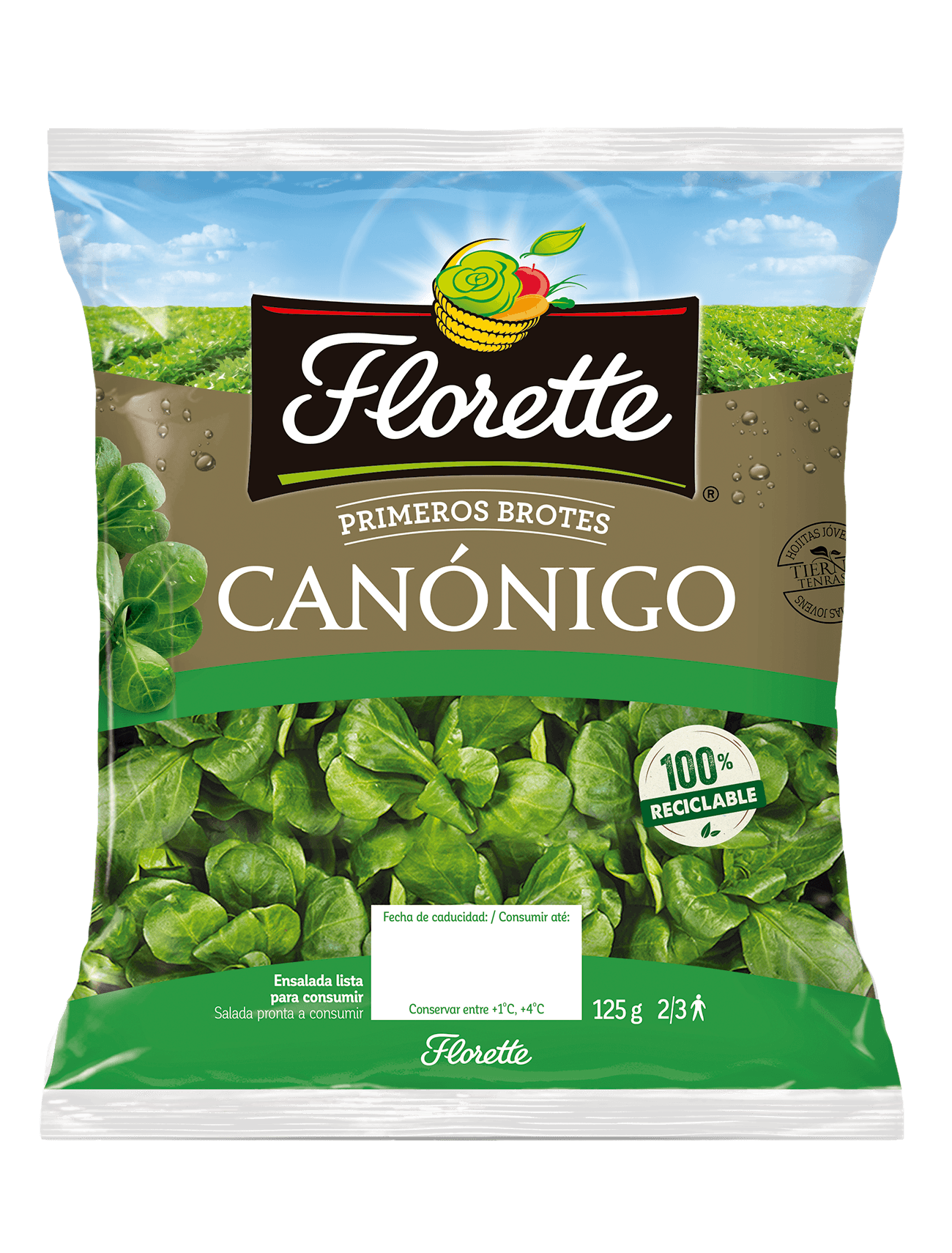 CANONIGOS FLORETTE