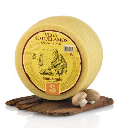 CUÑA QUESO VEGA SOTUELAMOS SEMICURADO DE OVEJA 250GR APROX