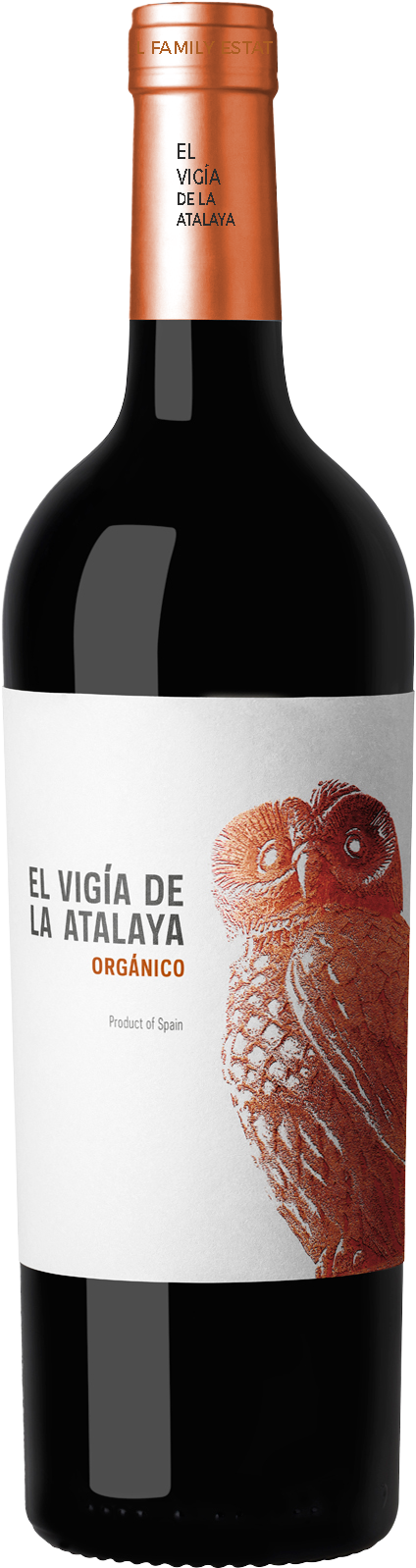 EL VIGÍA DE LA ATALAYA