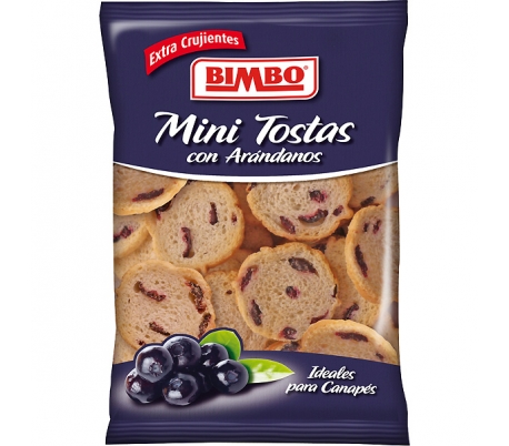 MINI TOSTAS CON ARANDANOS ORTIZ 90 GRS