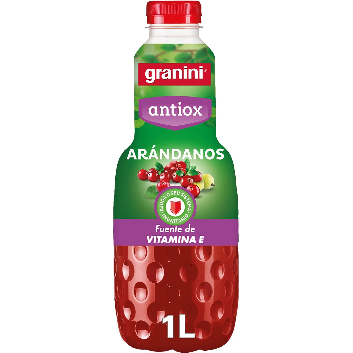 ZUMO GRANINI ARANDANOS BTLLA 1LT